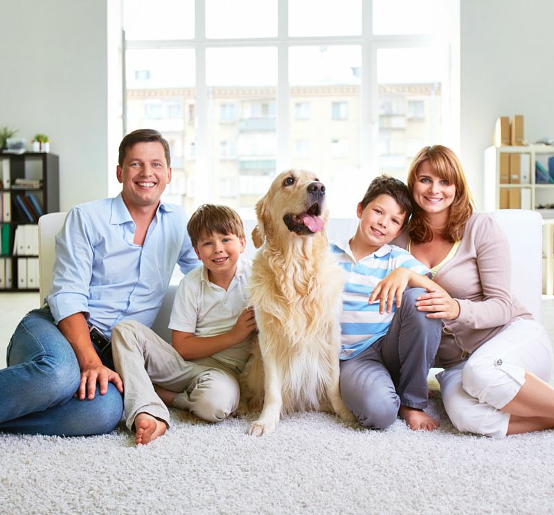 Residential Cleaning Services